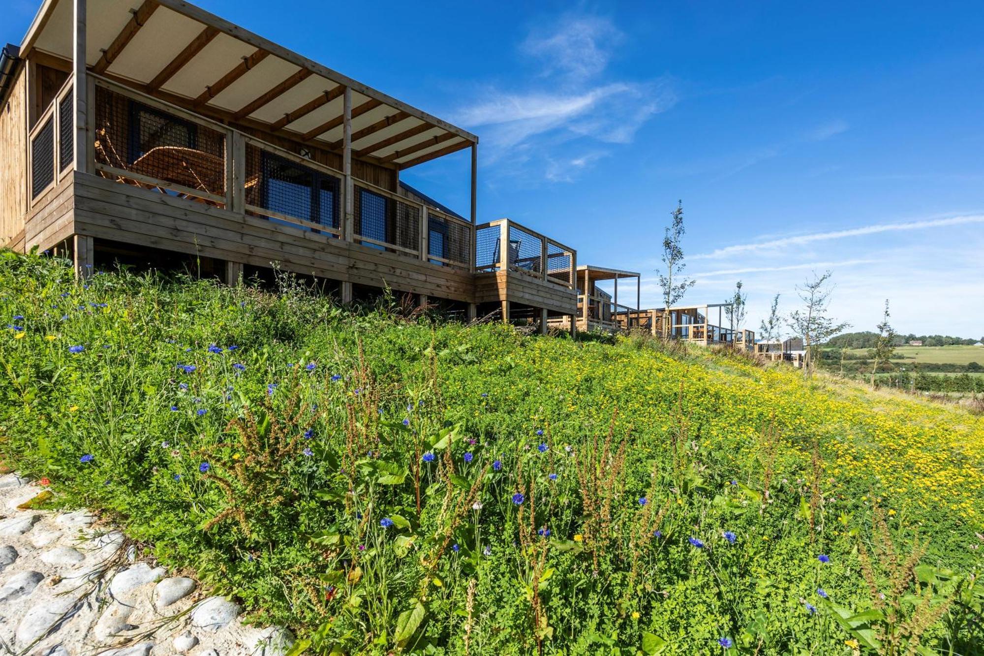 Camping Domaine Saane Et Mer Quiberville Εξωτερικό φωτογραφία